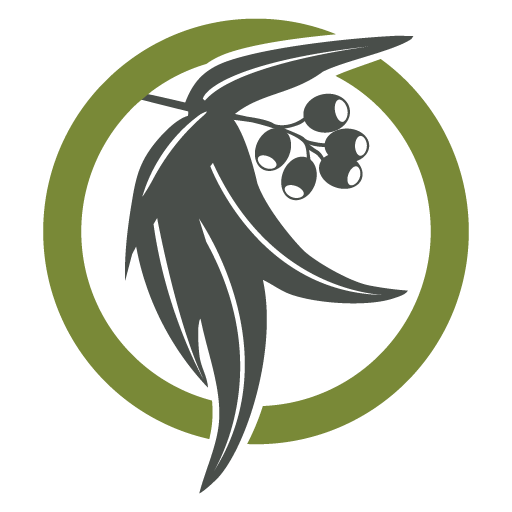 Site-Icon-Seed-World